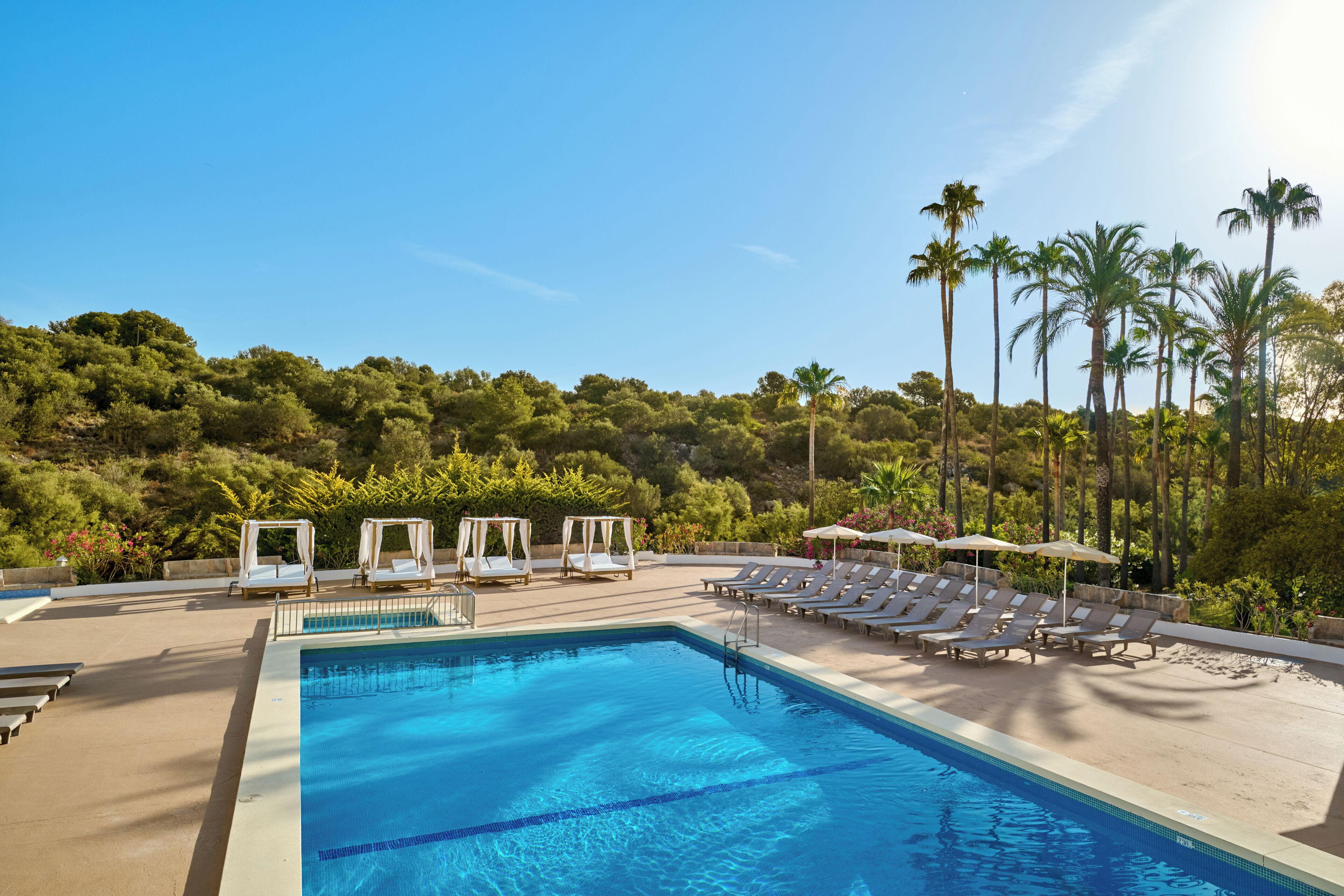 A swimming pool with lounge chairs and umbrellas, surrounded by palm trees and greenery.