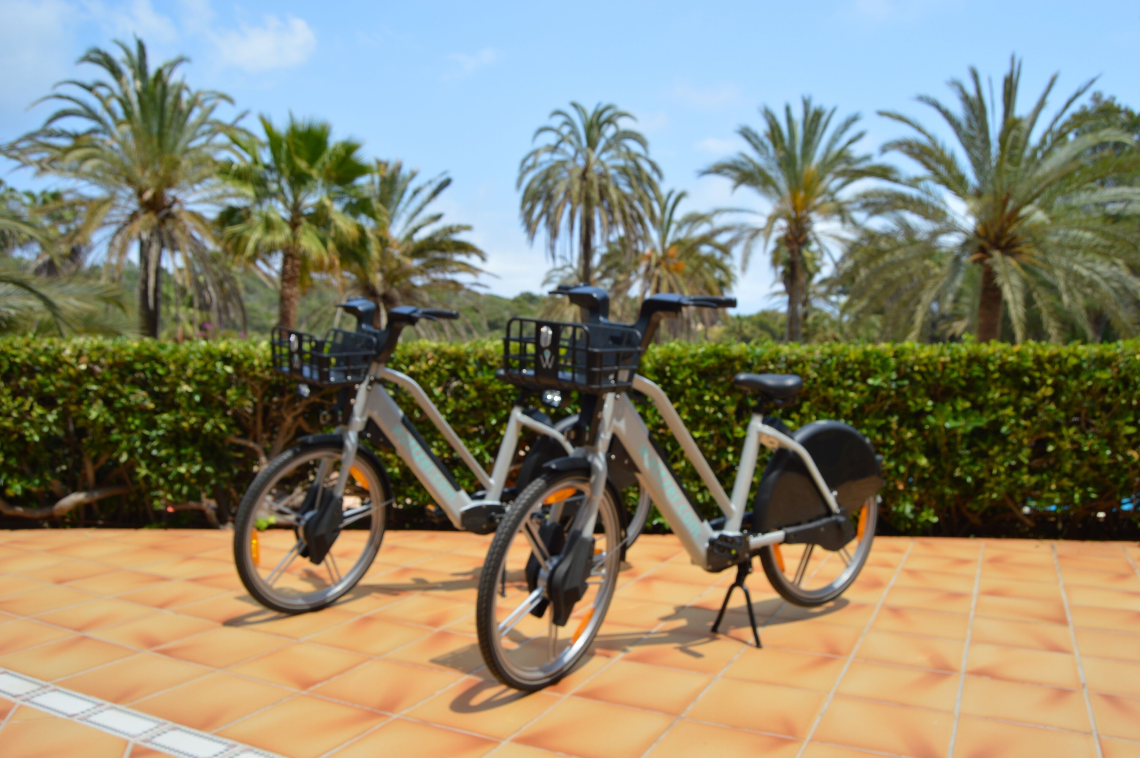 Foto - Grupotel Cala Marsal Nature Hotel - New Reopening 2025