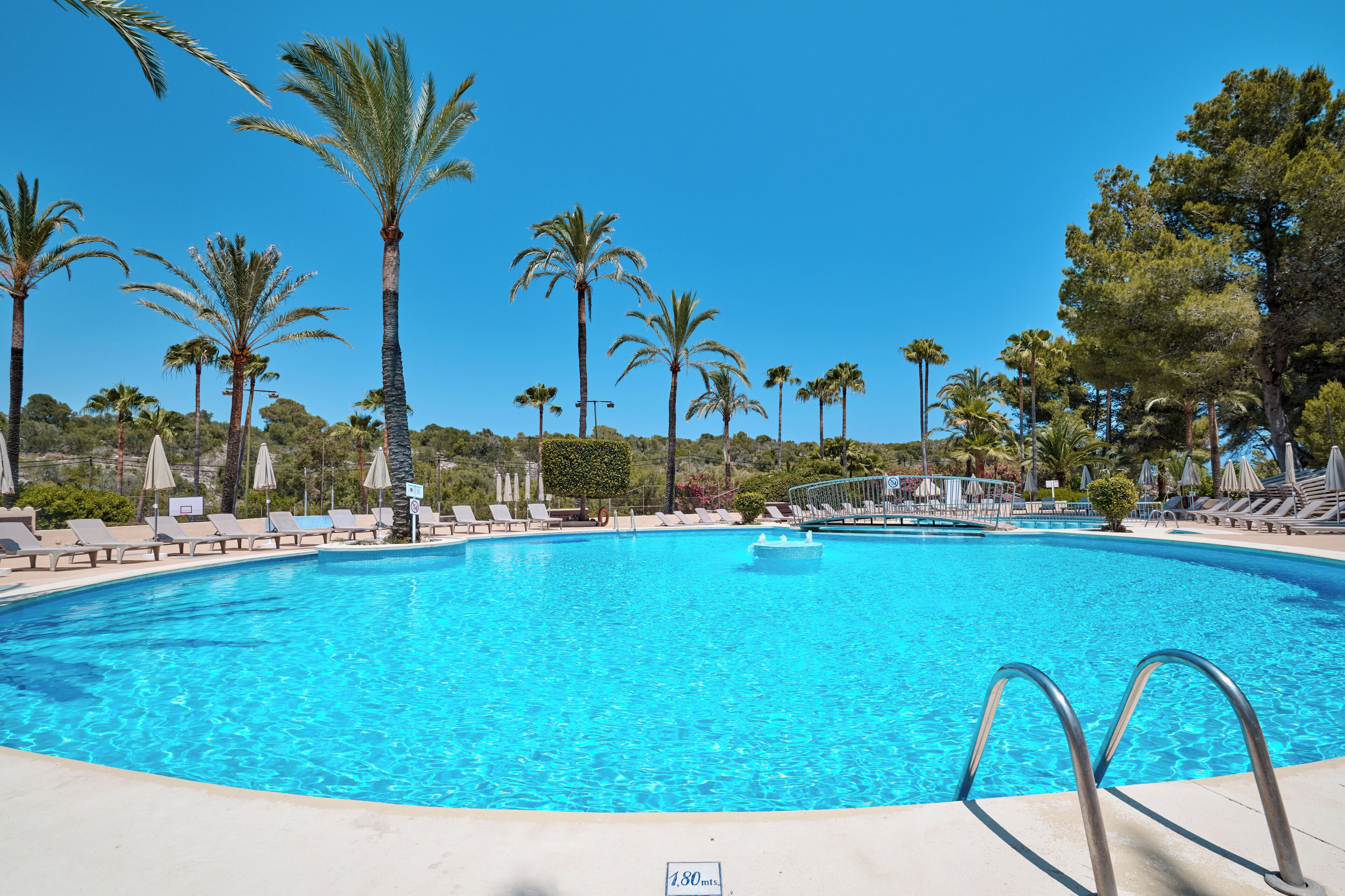 A clear blue swimming pool surrounded by lounge chairs and palm trees.