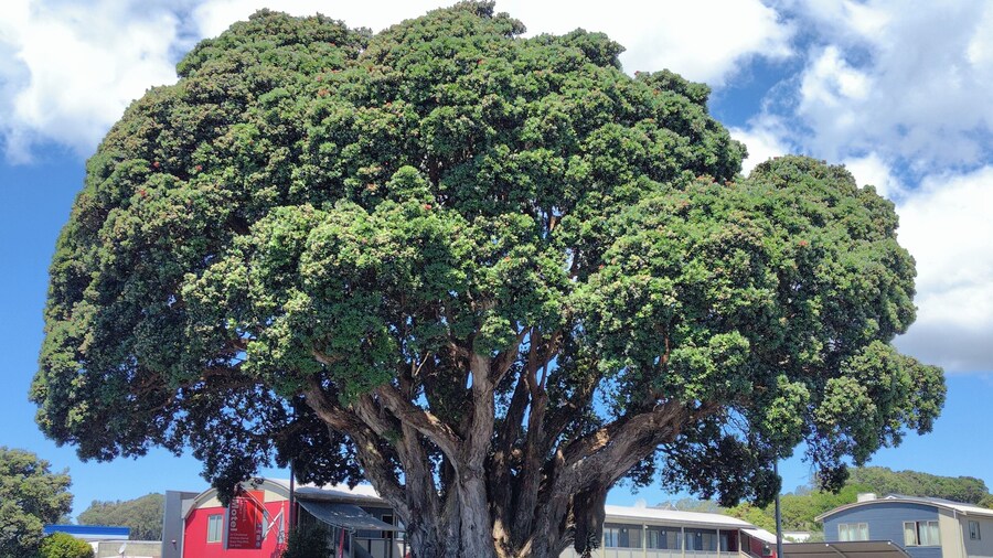 Landmark Manor Motel