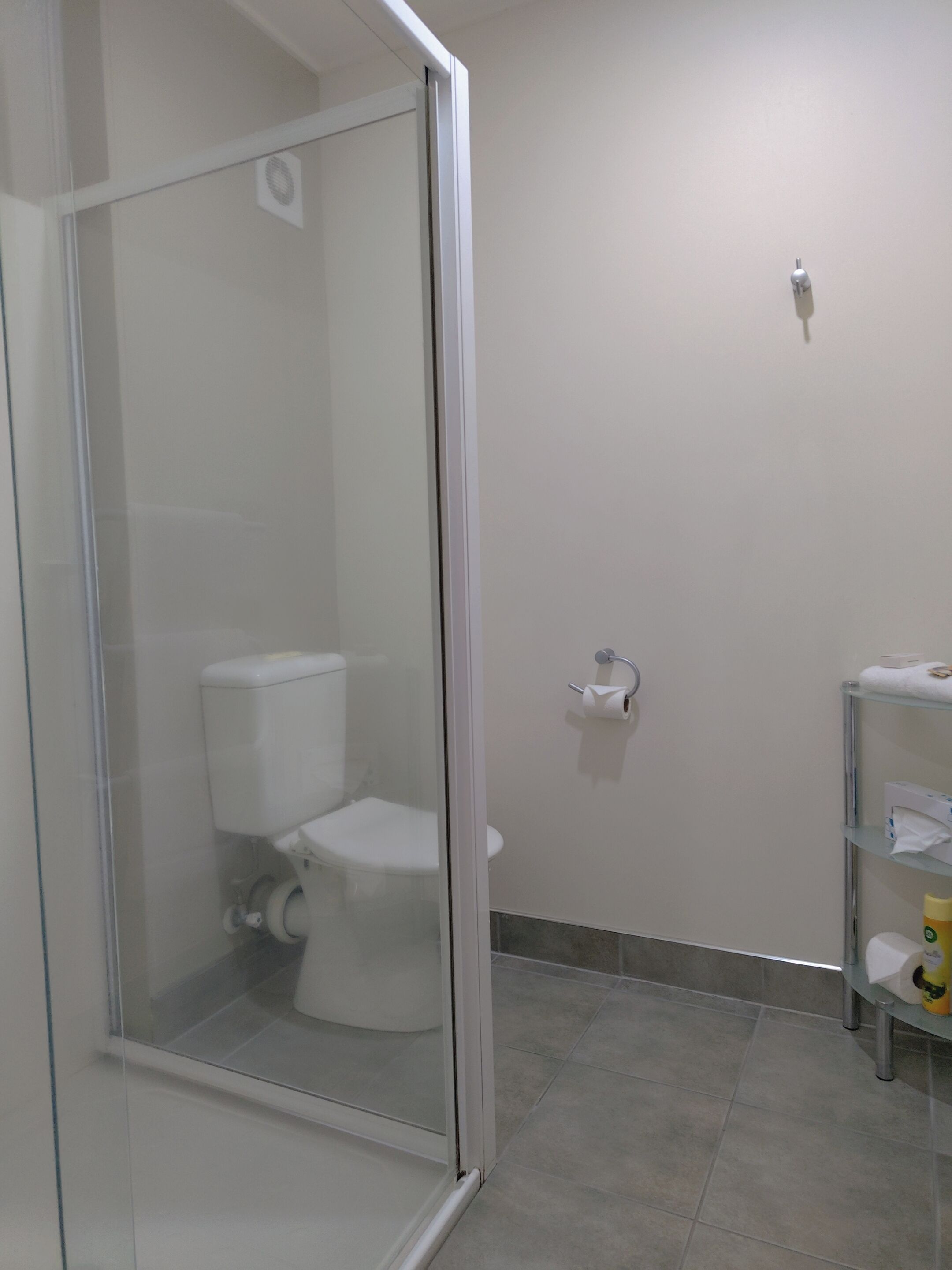 A bathroom with a glass-enclosed shower, a toilet, and a shelf with toiletries.