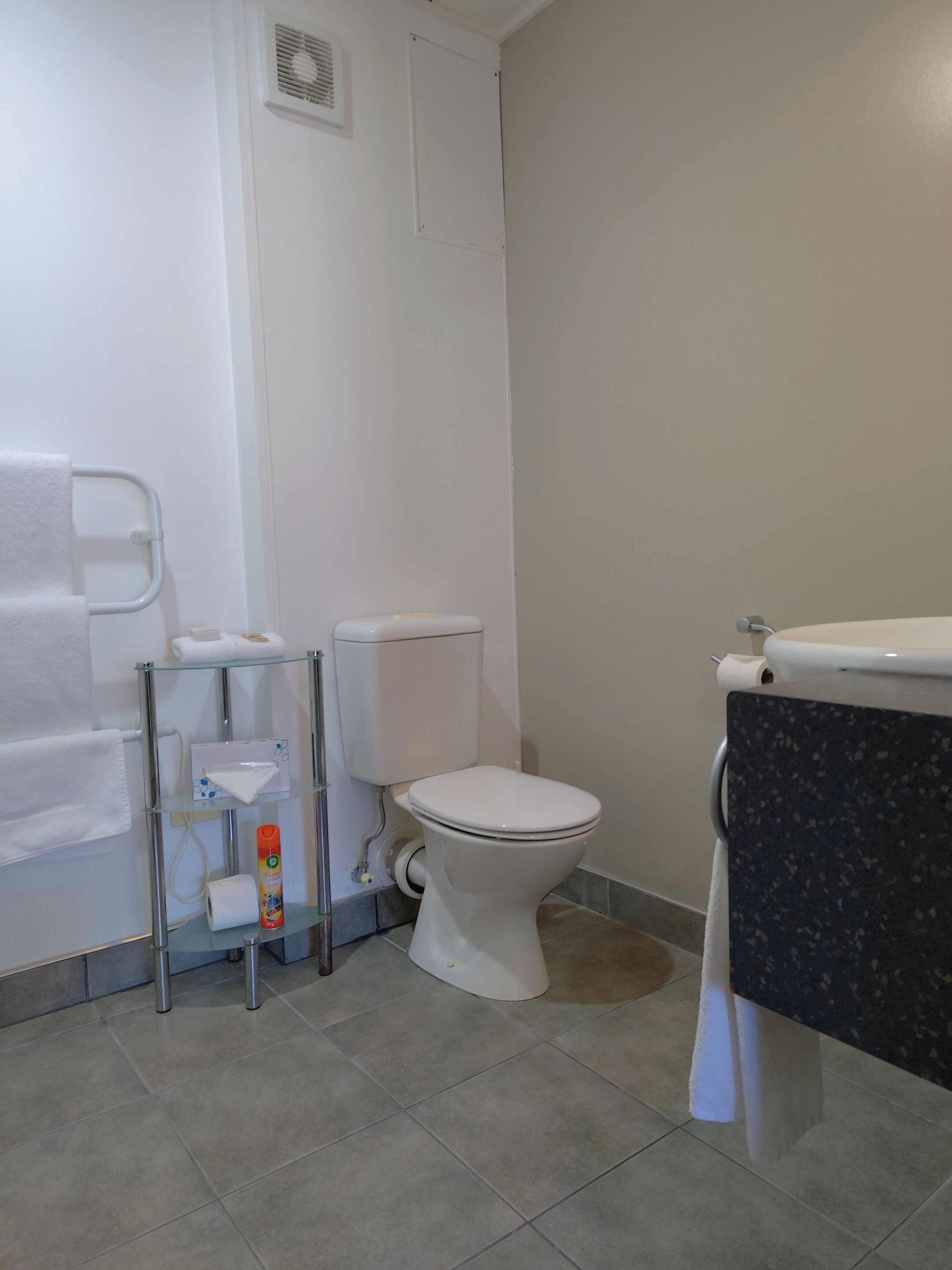 Een badkamer met een toilet, een glazen plank met toiletartikelen en een handdoekhouder.