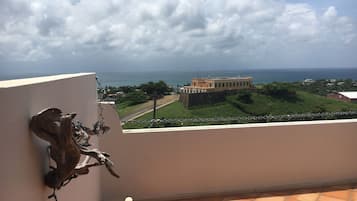 Deluxe-Suite, 1 King-Bett | Terrasse/Patio