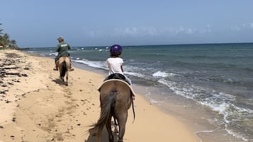 Escursioni a cavallo