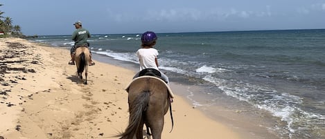 Horseback riding