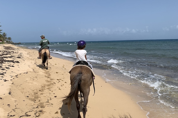 Horseback riding