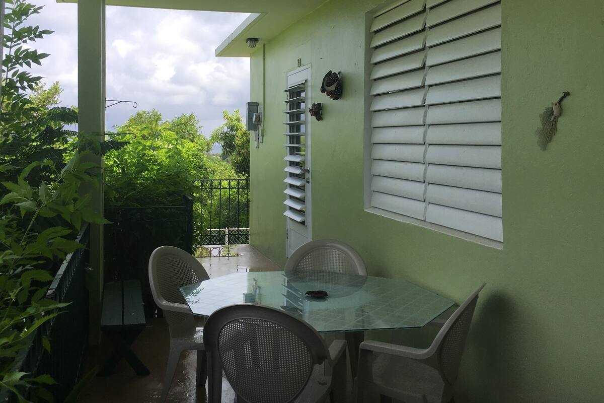Ein kleiner Patio-Bereich mit einem Glastisch und Stühlen, einem Metallgitter und einer grünen Wand mit einem Fenster mit Jalousien.