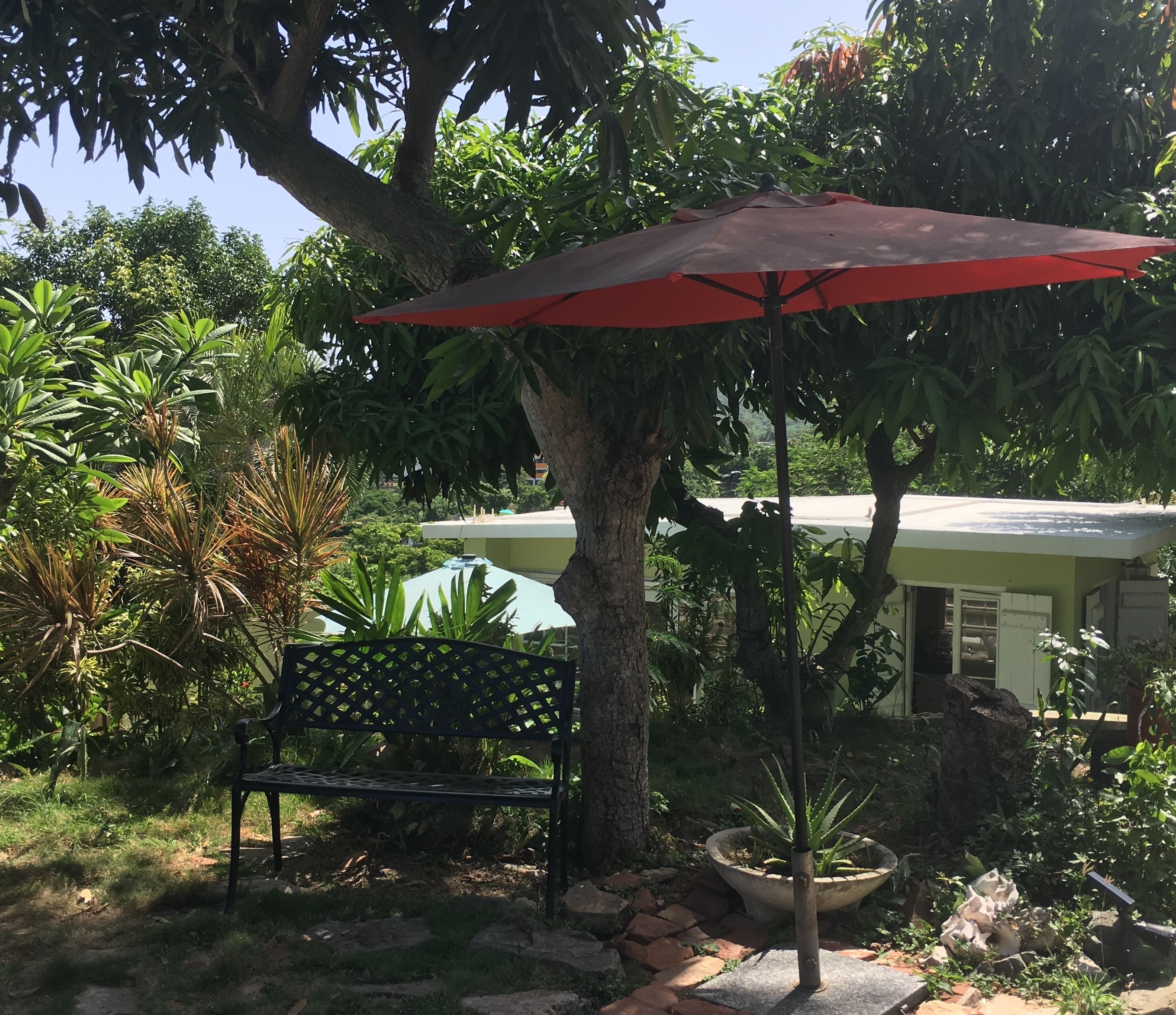 A garden with a bench, a red umbrella, and a tree.