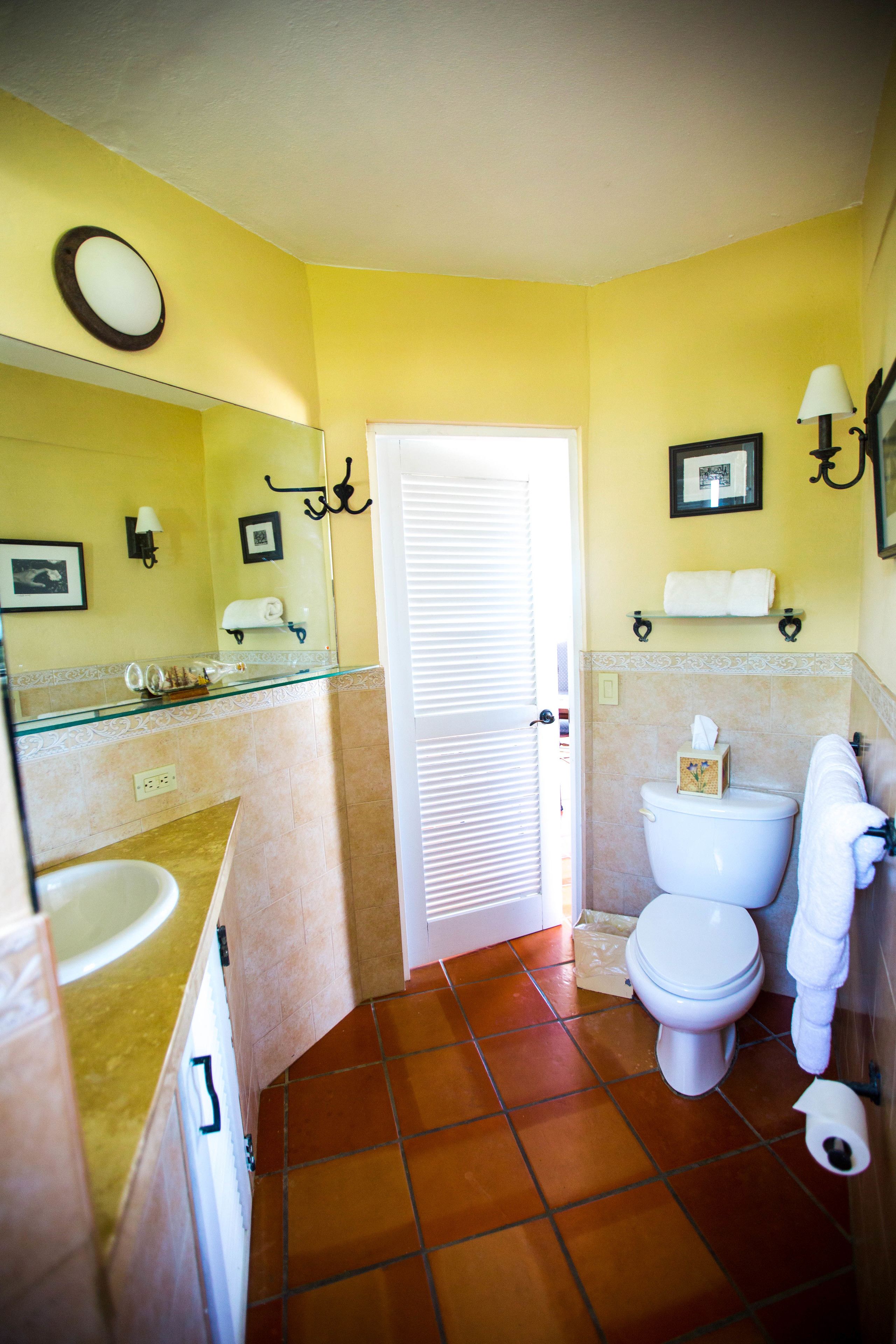 deluxe suite, 1 king bed | view from room