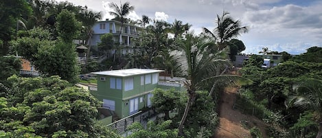 Un edificio de varios pisos rodeado de exuberante vegetación y palmeras.