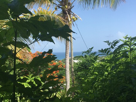 Sea Gate Hotel - Image 30