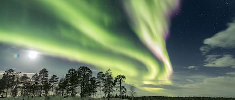A snowy landscape with a forest and a visible aurora borealis.