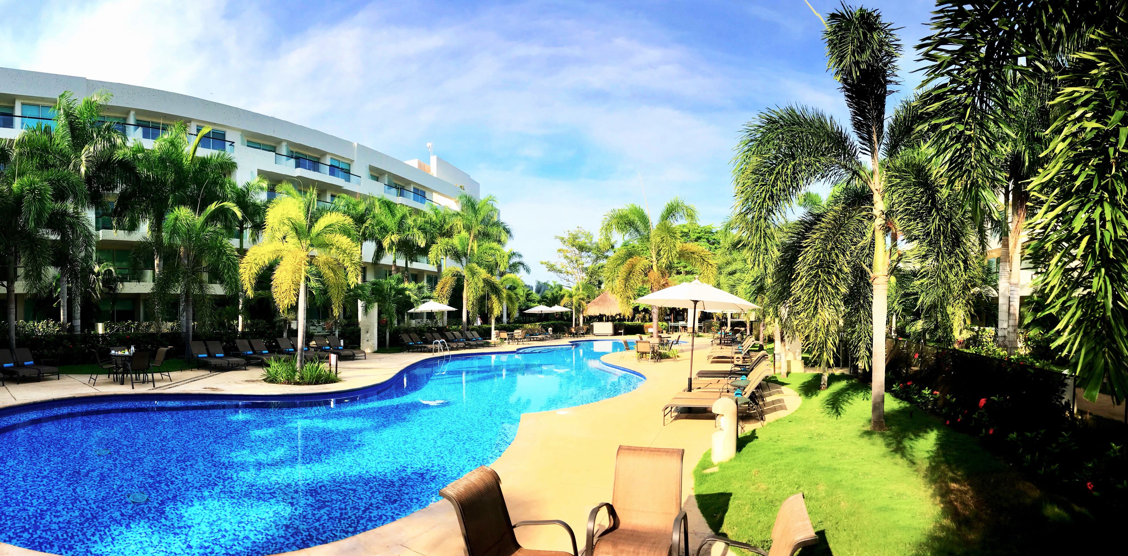 A swimming pool with lounge chairs and umbrellas, surrounded by palm trees and a modern building.