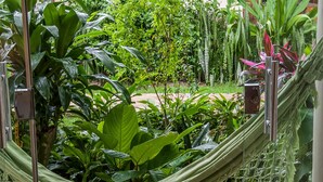 Een hangmat in een weelderige tuin met diverse planten en een houten omheining op de achtergrond.