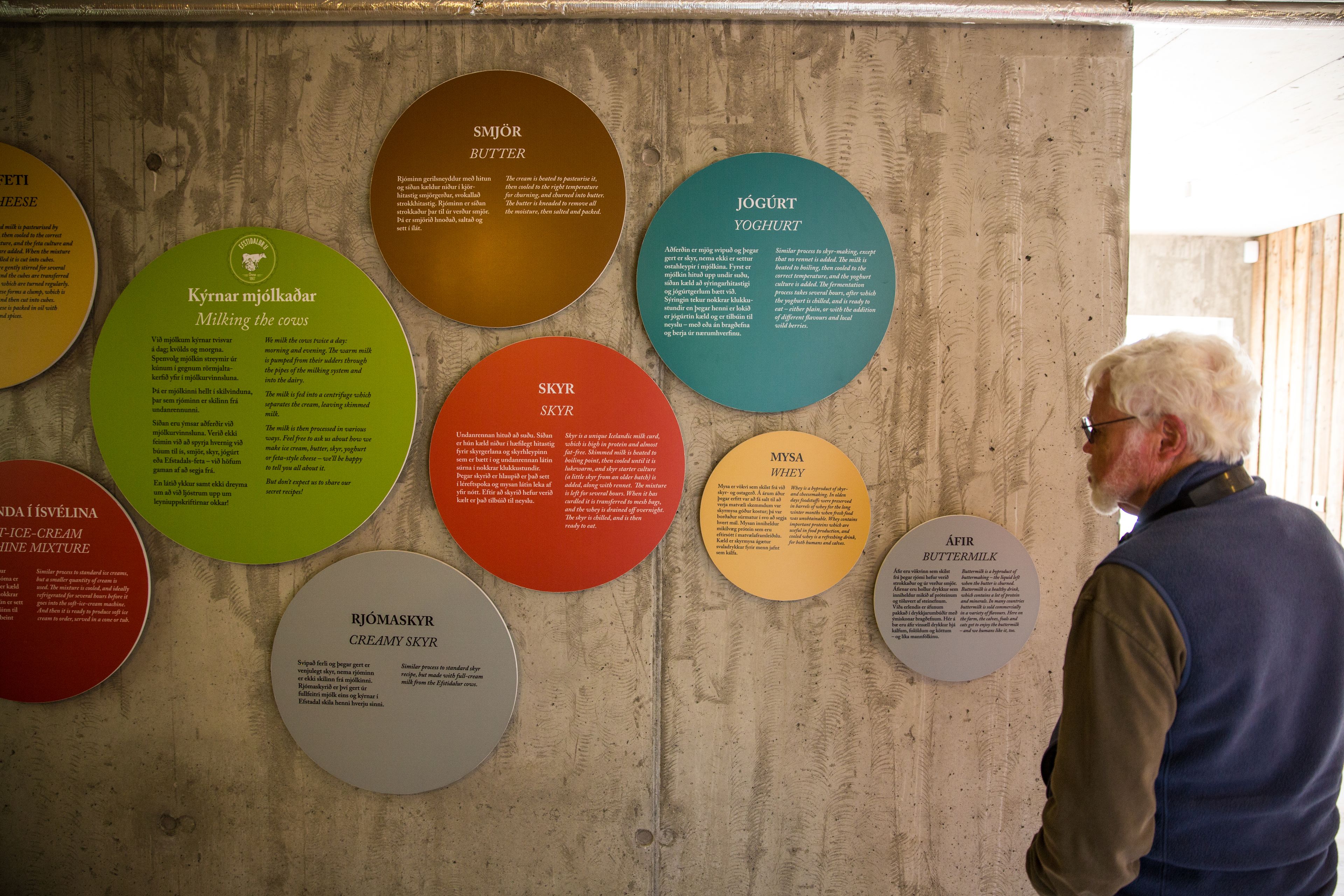 Una pared con placas informativas circulares sobre productos lácteos.