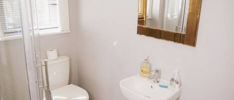 A bathroom with a toilet, a sink, and a mirror.