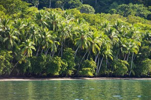 Playa privada en los alrededores, snorkel, kayak, pesca