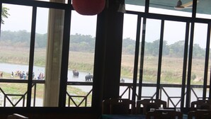 A view from inside a building with large windows overlooking a river and elephants. - Jungle Wildlife Camp (Sauraha)