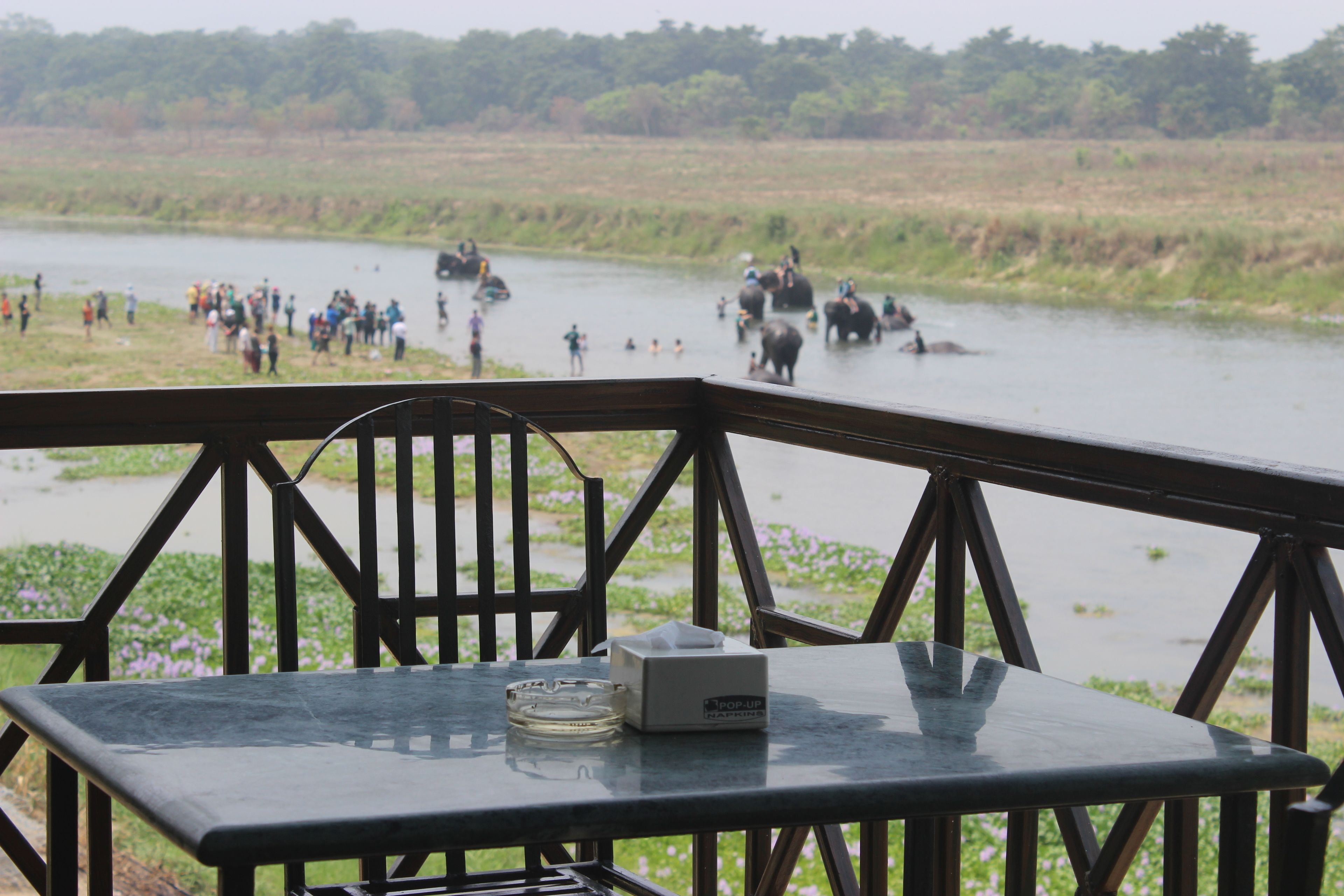 A table with a tissue box and a glass on a balcony overlooking a river with elephants and people.