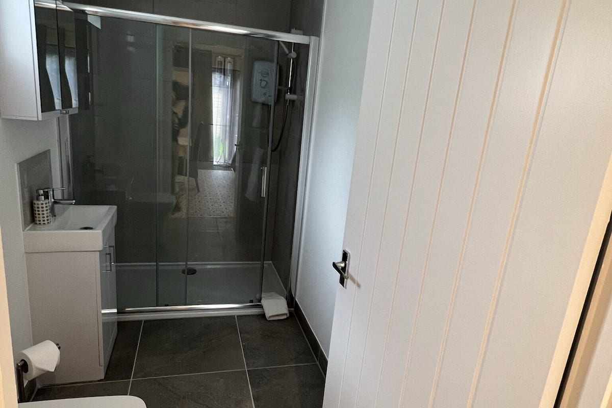 A bathroom with a toilet, a shower enclosure, and a white door.