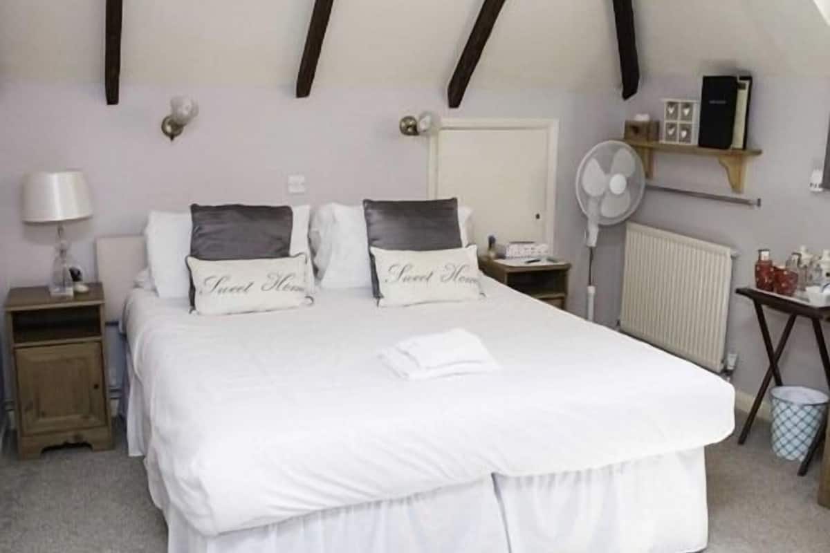 A bedroom with a large bed, two bedside tables, a nightstand, a bedside lamp, a wall-mounted fan, a radiator, and a shelf with books and a small plant.
