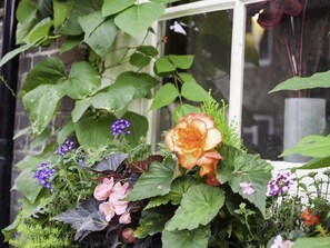 A vertical garden with various plants and flowers, including roses and purple flowers, against a window backdrop. - The Castle Inn Hotel (Steyning)