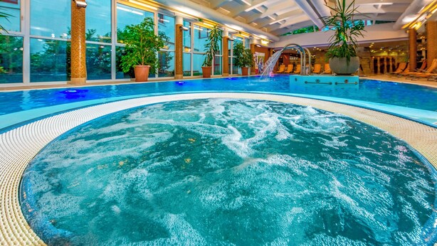 An indoor swimming pool with a hot tub, surrounded by large windows and potted plants.