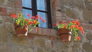 A stone building with a window and two flower pots on the ledge. - Agriturismo Barbi (Pienza)