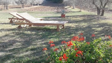 Apartment, 1 Bedroom, Hill View (Casa Barbi) | Terrace/patio