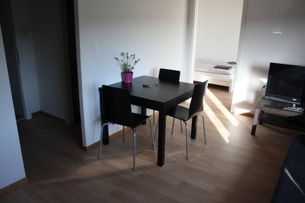 A modern room with a wooden floor, a dining table with chairs, a small potted plant, and a bed with a white mattress.