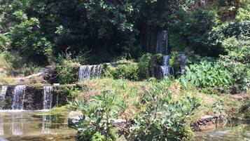 A natural waterfall with multiple cascades surrounded by dense greenery.