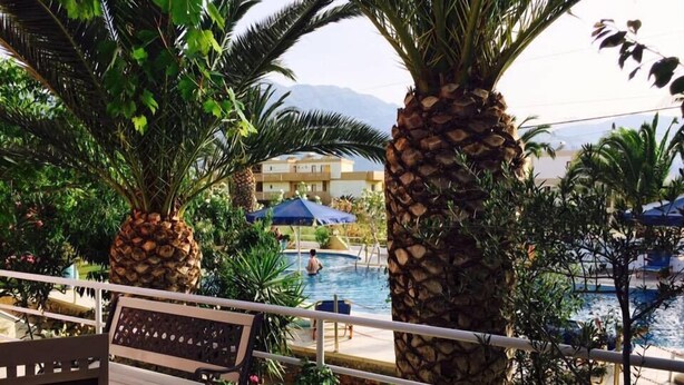 A poolside area with palm trees, a bench, and potted plants. - Anatoli Beach (Apokoronas)