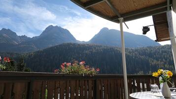 Double Room, Balcony (Large) | View from room