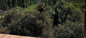 マイマリング ゲスト ハウス