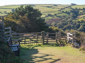 Detalle del exterior