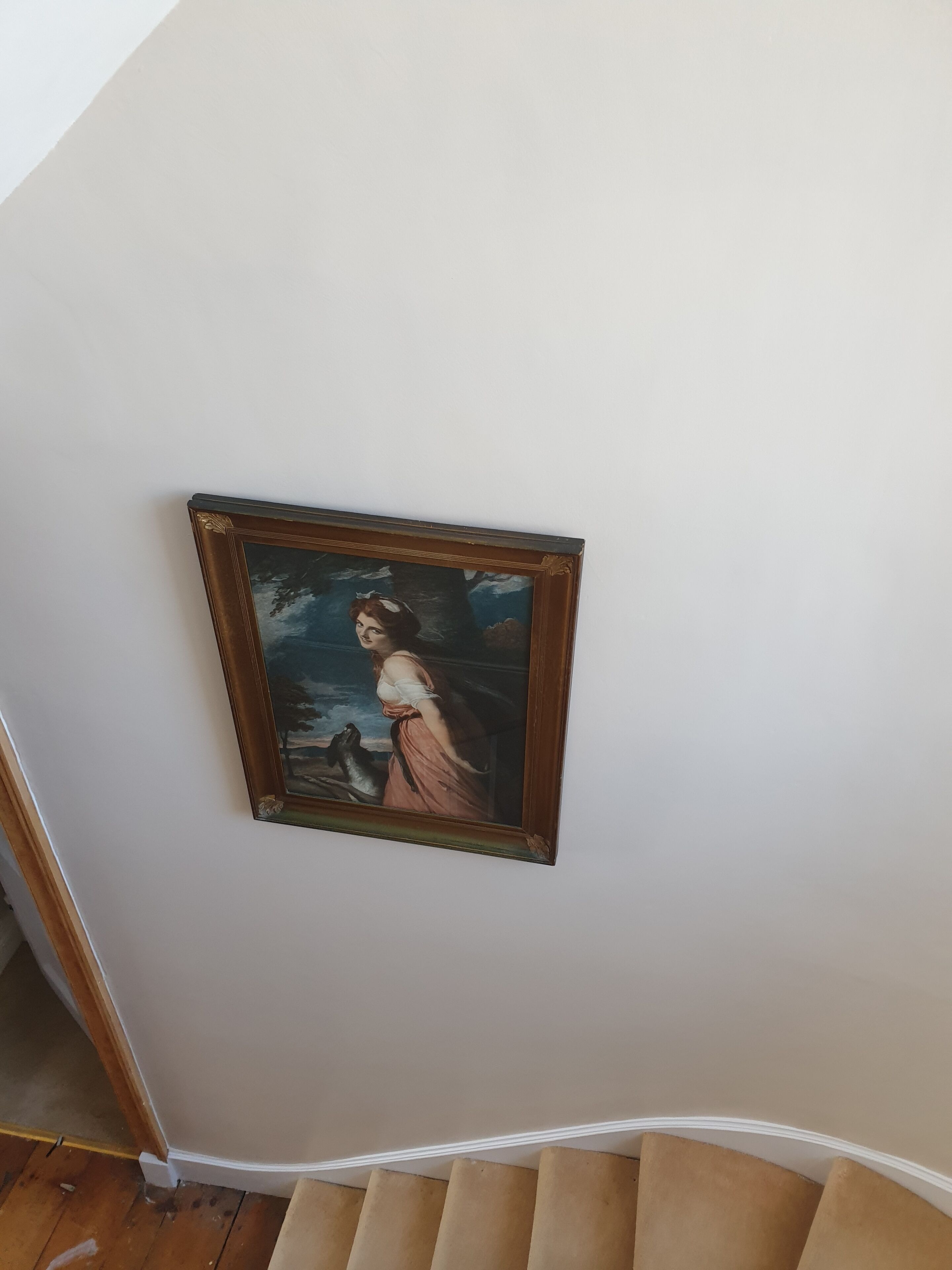 A framed painting on a plain wall.