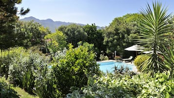 A pool surrounded by lush greenery and a mountain in the background.