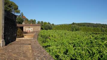 Un vignoble avec un sentier de pierres menant à un bâtiment doté d’un toit rouge.