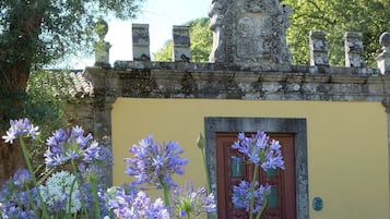 Vườn