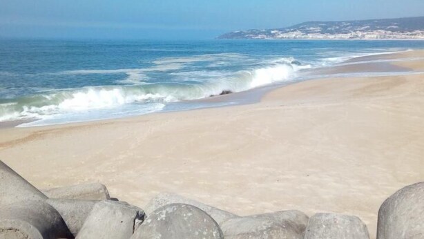 A beach with waves, a clear sky, and a distant shoreline with buildings. - Hotel Aliança (Figueira da Foz)