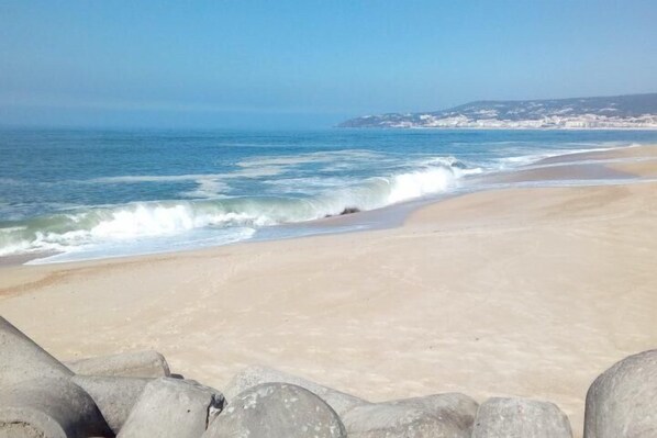 Playa en los alrededores