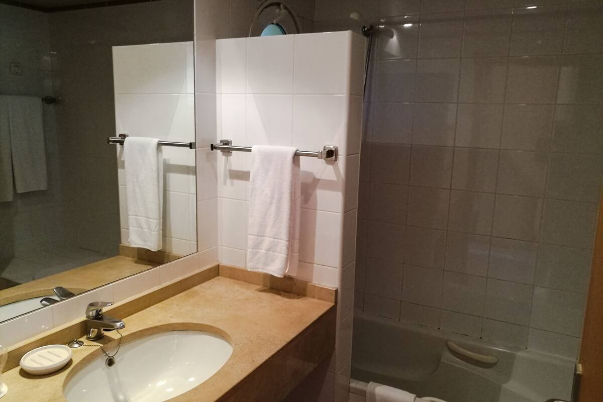 bathtub, hair dryer, bidet, towels