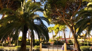 Un jardin bien entretenu, agrémenté de palmiers et doté d’une entrée fermée par un portail.
