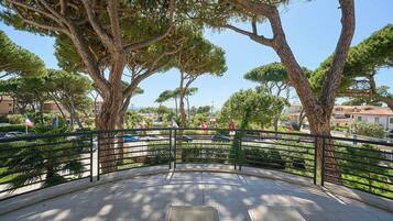 Superior Double or Twin Room, Terrace | View from room