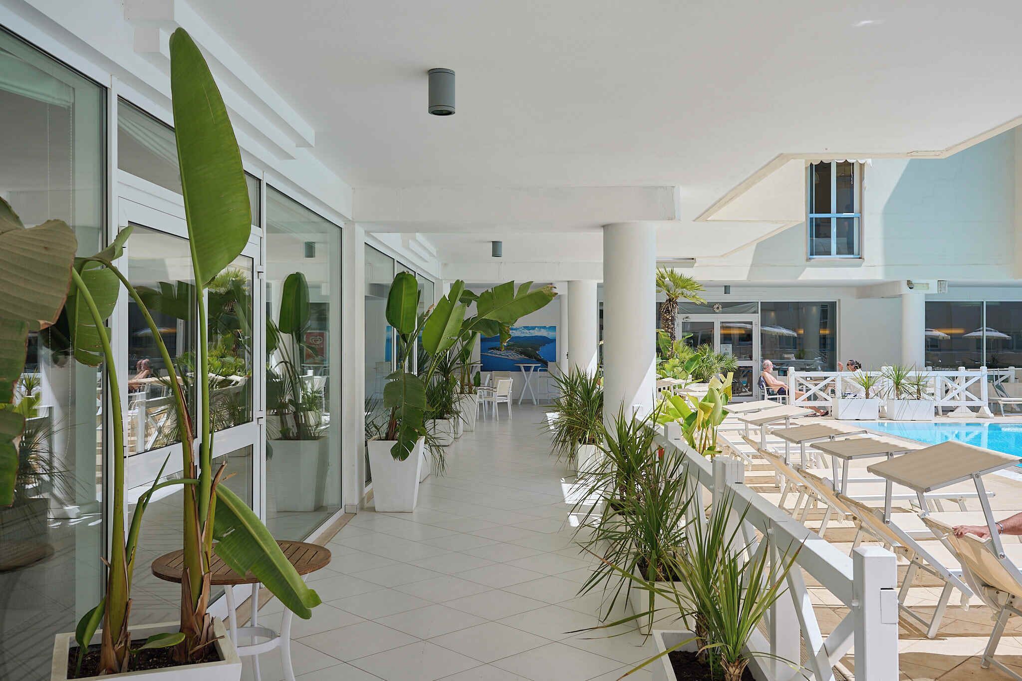Pasillo de hotel con plantas en macetas, zona de piscina con sillas de descanso y vistas al mar.