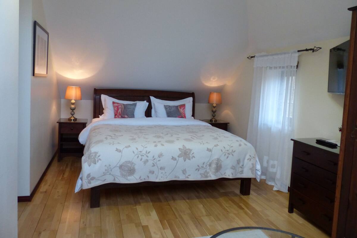 Deluxe Double Room | Minibar, iron/ironing board (on request), WiFi (free), bed sheets