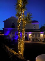 Fachada del alojamiento - Noche