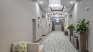 A hotel hallway with a patterned carpet, a seating area with cushions, and potted plants. - Hilton Garden Inn Clifton Park (Clifton Park)