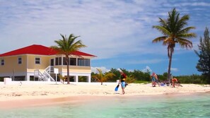 On the beach, scuba diving, snorkelling, rowing - Paradise Cove (Deadman's Reef)