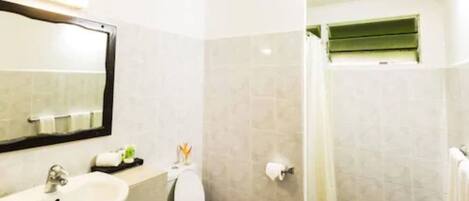 Une salle de bain avec un lavabo, des toilettes et une douche.
